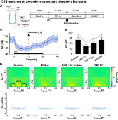 Oxycodone-induced dopaminergic and respiratory effects are modulated by deep brain stimulation